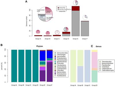 Reliable and Scalable Identification and Prioritization of Putative Cellulolytic Anaerobes With Large Genome Data